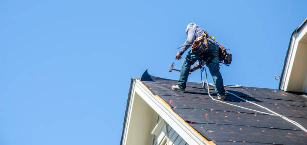 Best Storm Damage Roof Repair  in Rector, AR